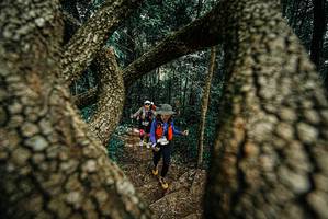 BIB: 
                            <button type="button" onclick="openModal(25703260)" class="btn btn-primary btn-sm float-right btn-popup" data-toggle="modal" data-target=".modal-high-quality">
                        <i class="fas fa-shopping-cart"></i> Add to Cart
                    </button>
                                            <button type="button" onclick="isThisMe(25703260, true)" class="btn btn-success btn-sm float-right btn-popup btn-isme hidden" data-toggle="tooltip" data-placement="bottom" title="นี่คือรูปของคุณใช่ไหม คลิกที่นี่เพื่อเอาเข้าอัลบั้ม">
                        <i class="fas fa-plus"></i> Add to album
                    </button>
                    <button type="button" onclick="isThisMe(25703260, false)" class="btn btn-warning btn-sm float-right btn-popup btn-isnotme hidden">
                        <i class="fas fa-ban"></i> Remove from album
                    </button>